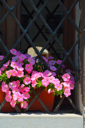 Similar image 5564796