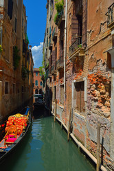 Similar image 5564830