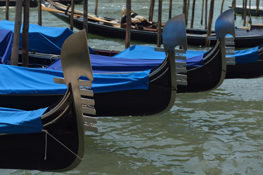 Similar image 5564848