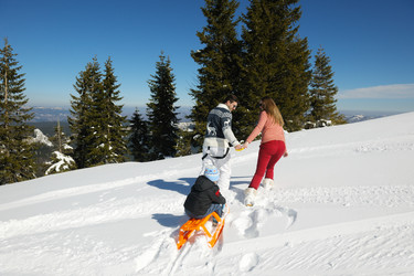 Similar image 5564874