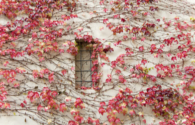 Similar image 5565437