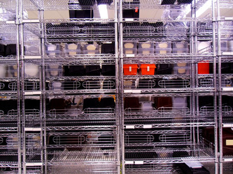 Similar image 5565449