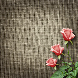 Similar image 5565455