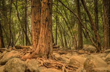 Similar image 5565463