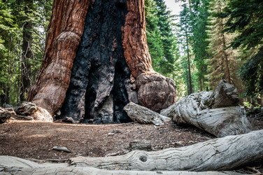 Similar image 5565467