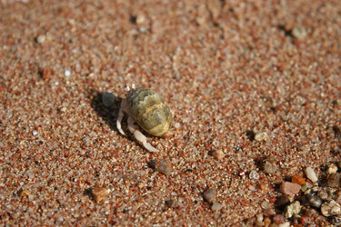 Similar image 5565485