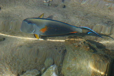 Similar image 5565487