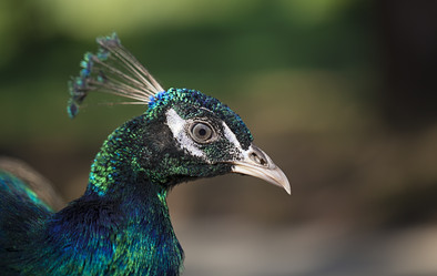 Similar image 5565493