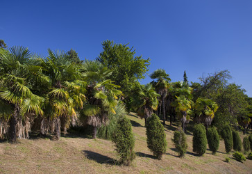 Similar image 5565495