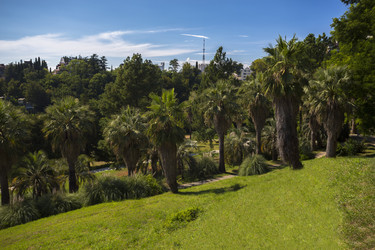 Similar image 5565496