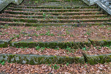 Similar image 5565647