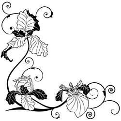 Similar image 5565678