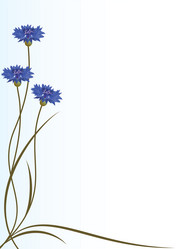 Similar image 5565695