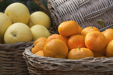 Similar image 5565758