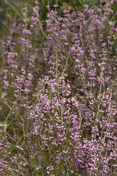 Similar image 5565759