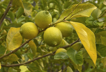 Similar image 5565760