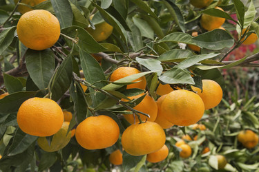 Similar image 5565761