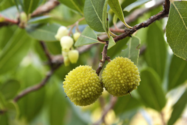 Similar image 5565764