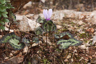 Similar image 5565765