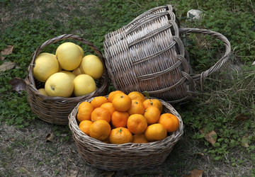 Similar image 5565766