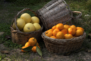 Similar image 5565767