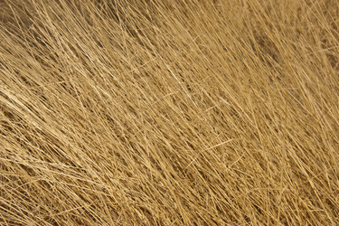 Similar image 5565780