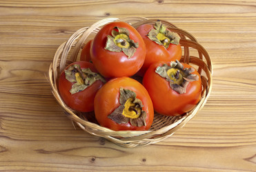 Similar image 5565784