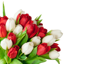 Similar image 5565789