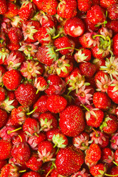 Similar image 5565796