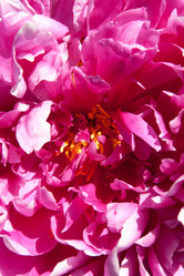 Similar image 5565799