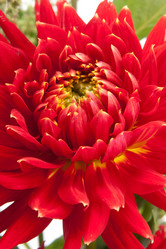 Similar image 5565810