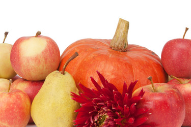 Similar image 5565812