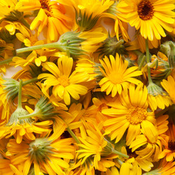 Similar image 5565818