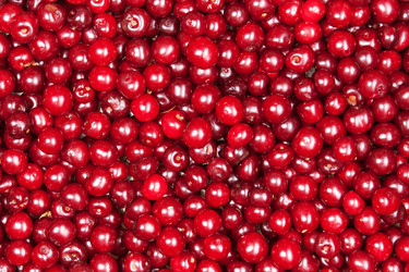 Similar image 5565823