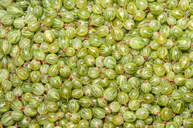 Similar image 5565824