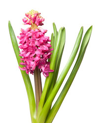 Similar image 5565829