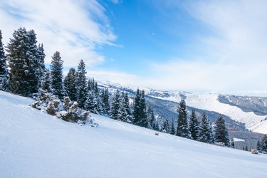 Similar image 5565831