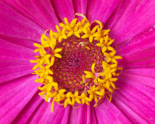 Similar image 5565832