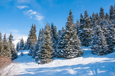 Similar image 5565834