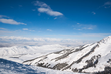 Similar image 5565835