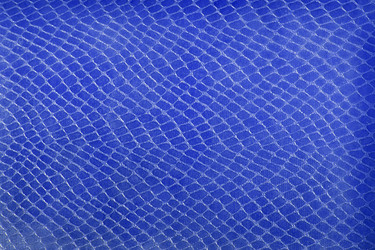 Similar image 5565839