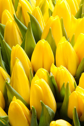 Similar image 5565844