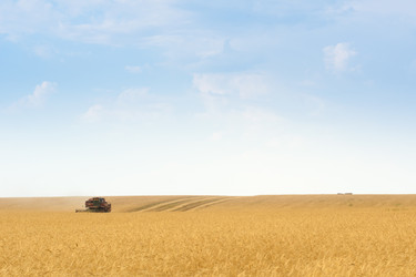 Similar image 5565846