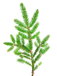 Similar image 5565849