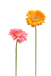 Similar image 5565850