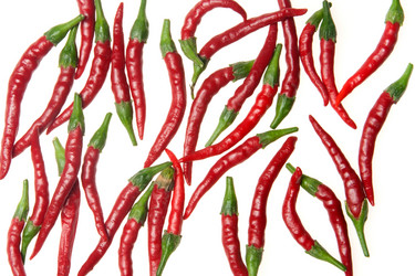 Similar image 5565862