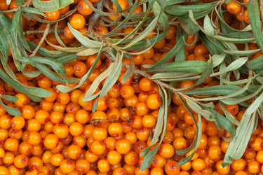 Similar image 5565863