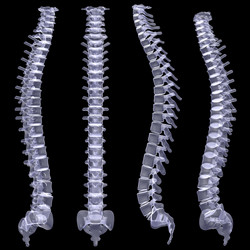 Similar image 5565893