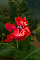 Similar image 5566032