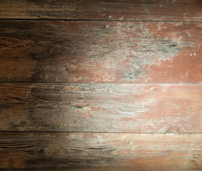 Similar image 5566049